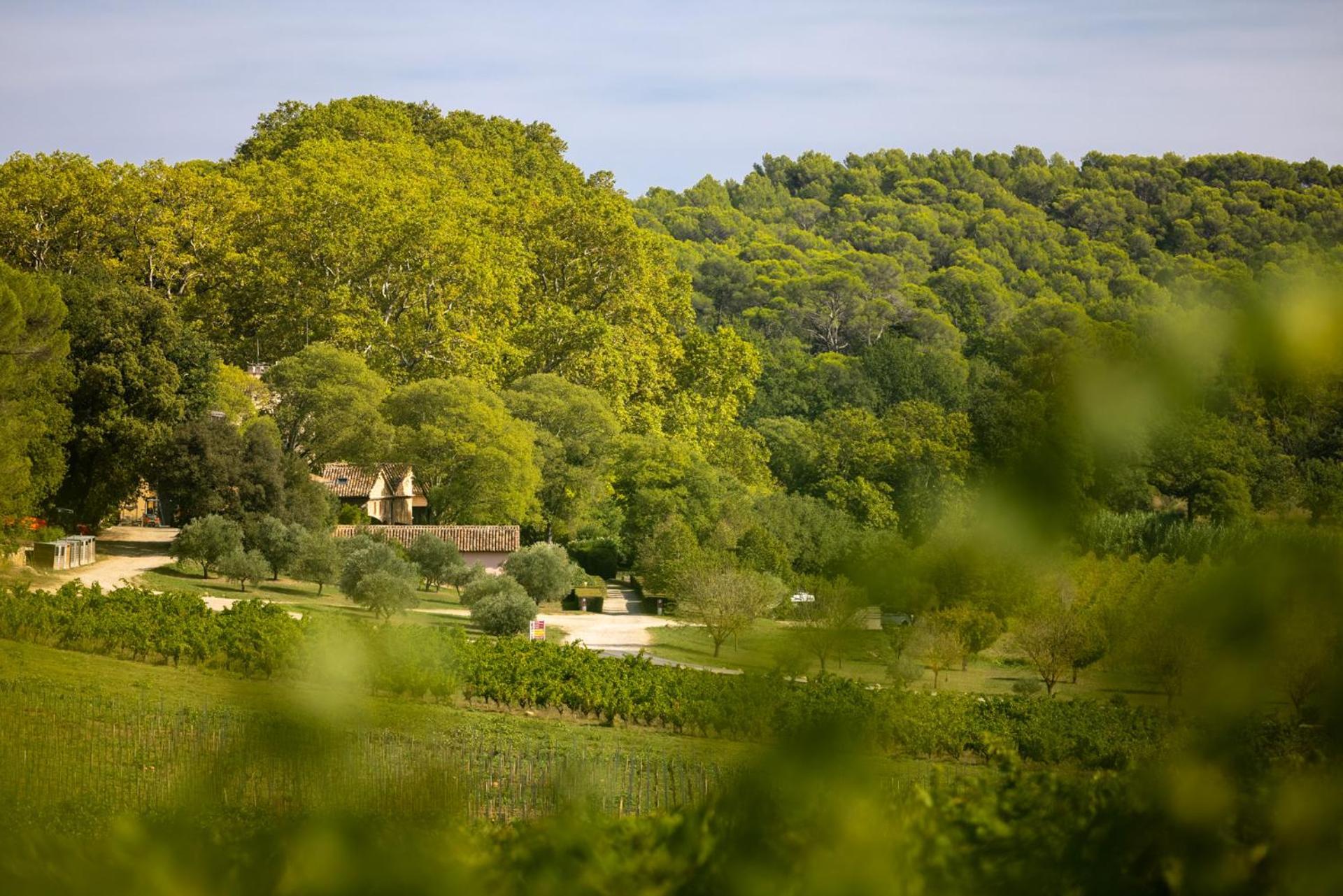 Chateau Mentone Masseboeuf Exterior photo