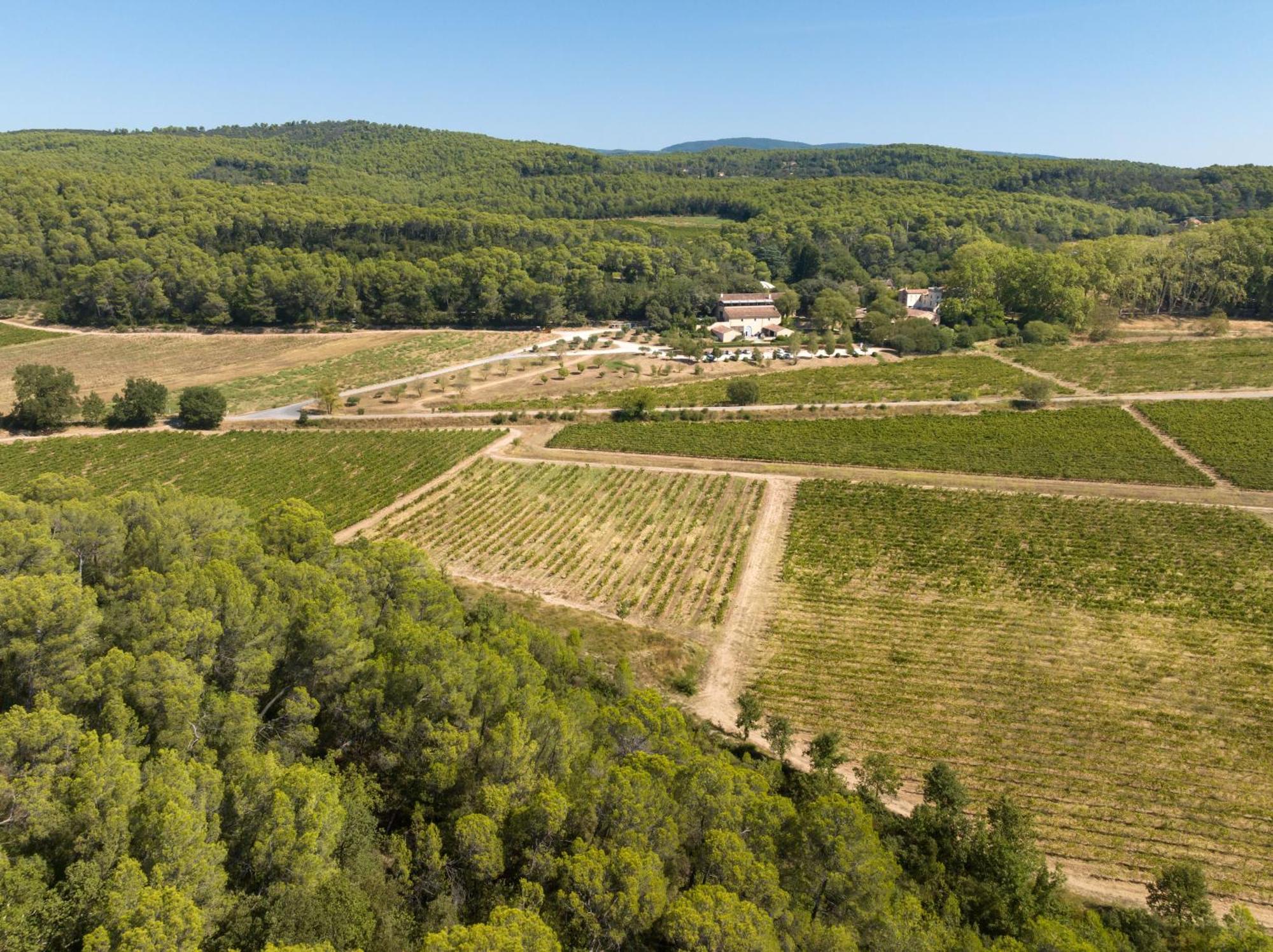 Chateau Mentone Masseboeuf Exterior photo